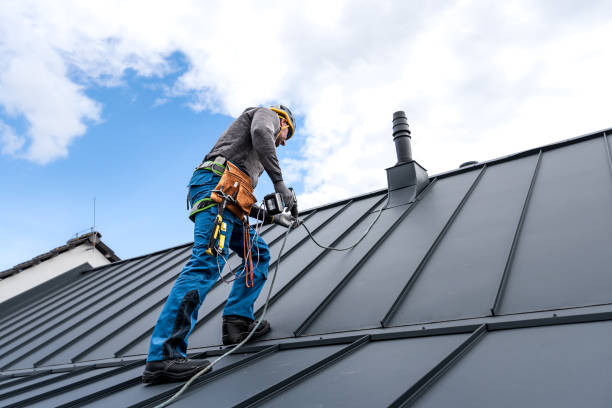 Best Steel Roofing  in Wasco, CA